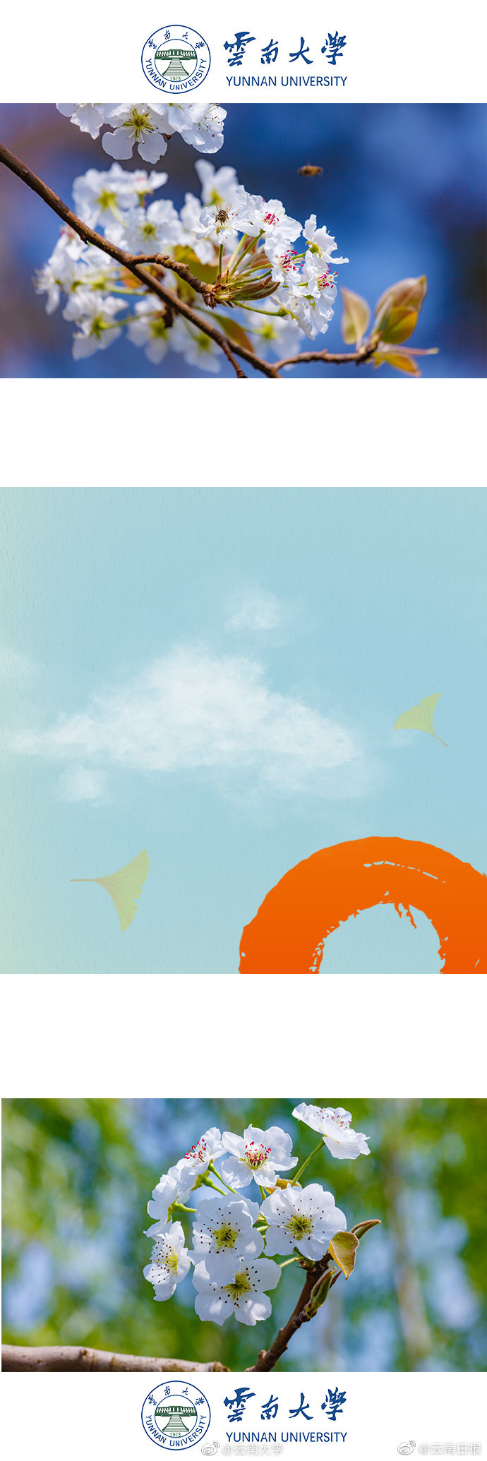 《獨居事故》by隨安百度云