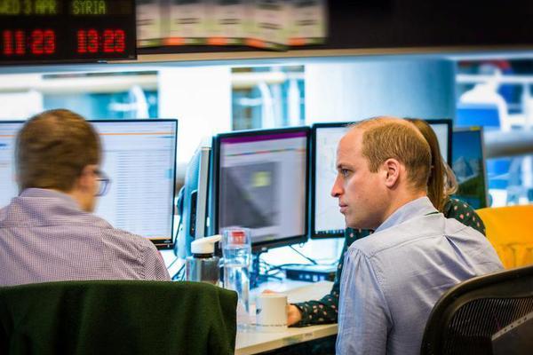 這是誰家的崽by蘿卜海棠小說