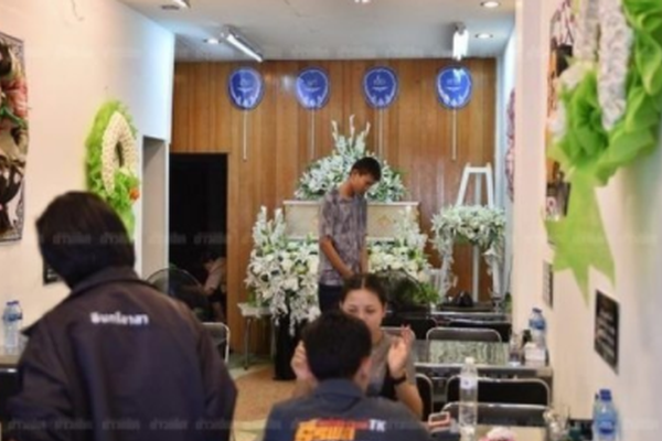 父女文(軍人世家)林有良摘杏