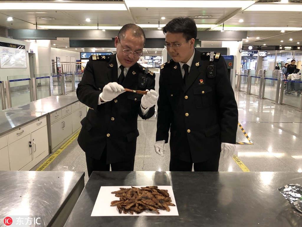 釣系美人by麻辣火鍋