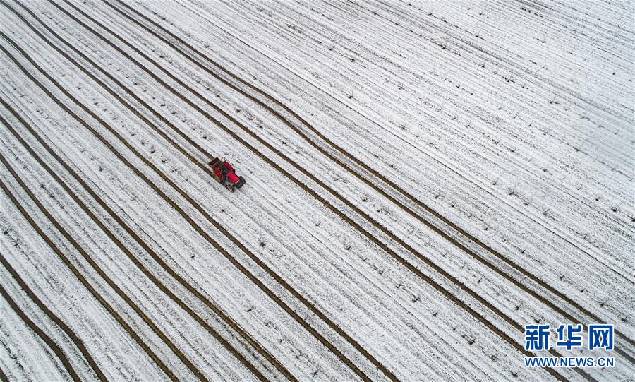 自食惡果by阿兔第十二章