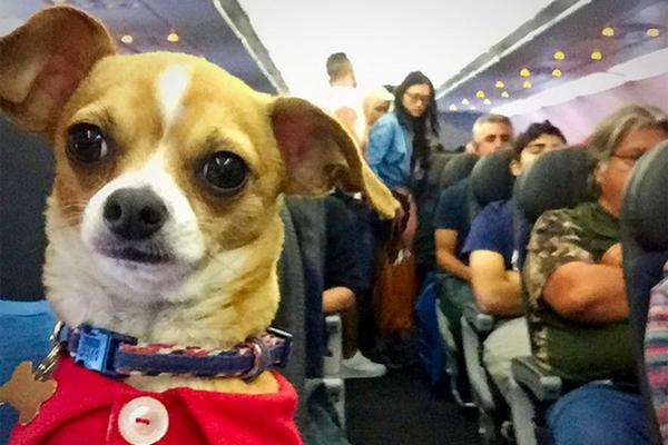 一醉經年未刪減版全文txt