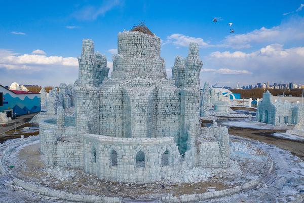 當瘋癲遇上巔峰by