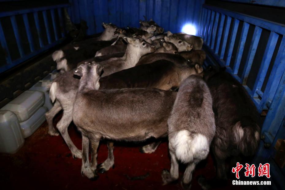 《想你》by東哥完結(jié)了嗎