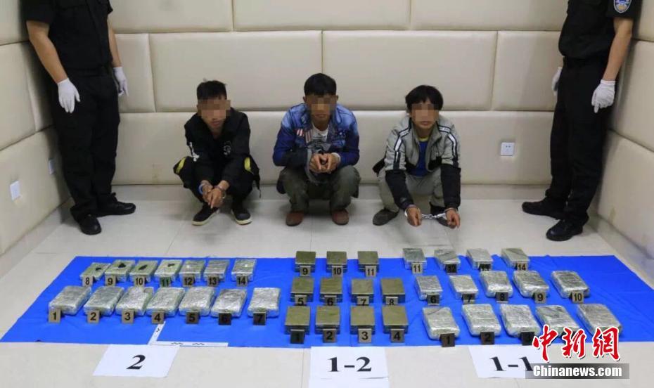 純白by金銀花露百度