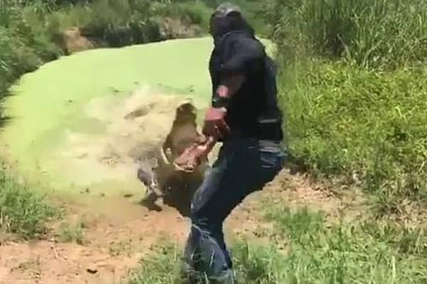 斗羅大陸下載txt