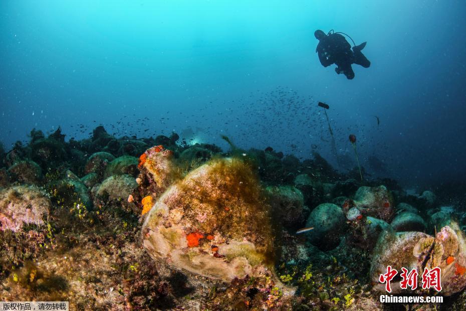 最強棄少精校版完本txt