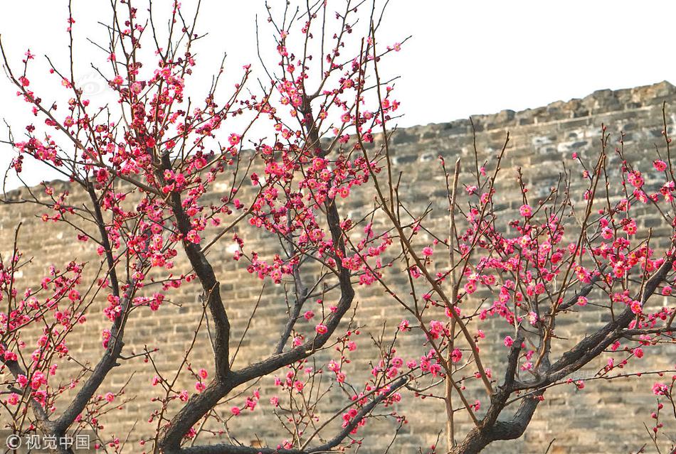 安妮的答案1v2阿賢小說