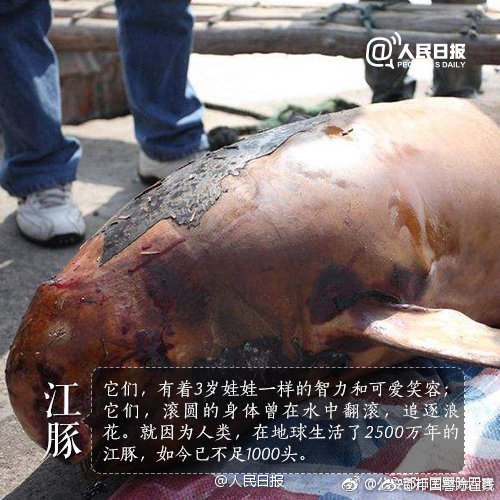 寵(骨科)作者:阿司匹林