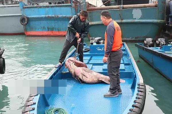 重生之全能高手蕭游TXT下載