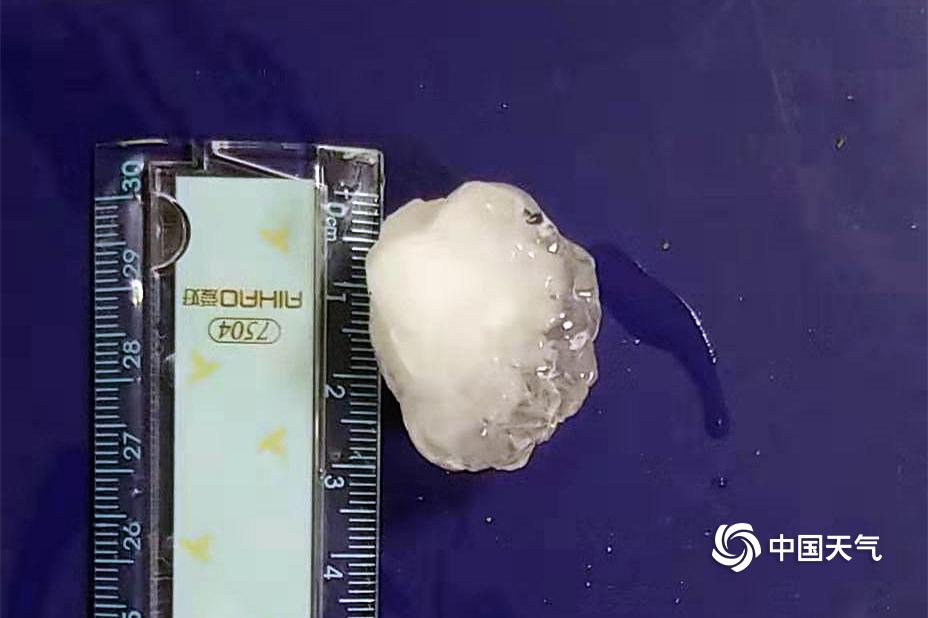 《封總,太太想離婚很久了》