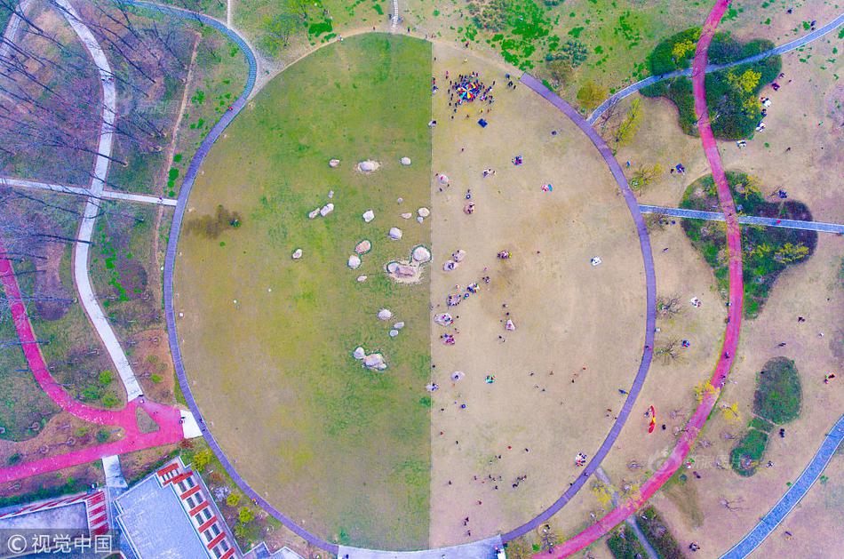 沉入地球by布洛卡區(qū)講的什么