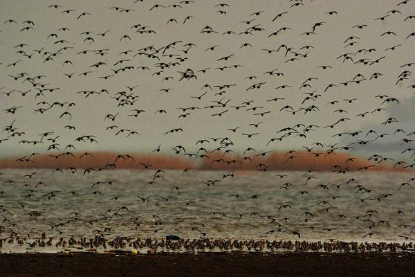 嚴厲媽媽墜落第二部叫什么名字