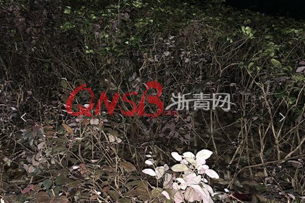 《沉香如屑》全集