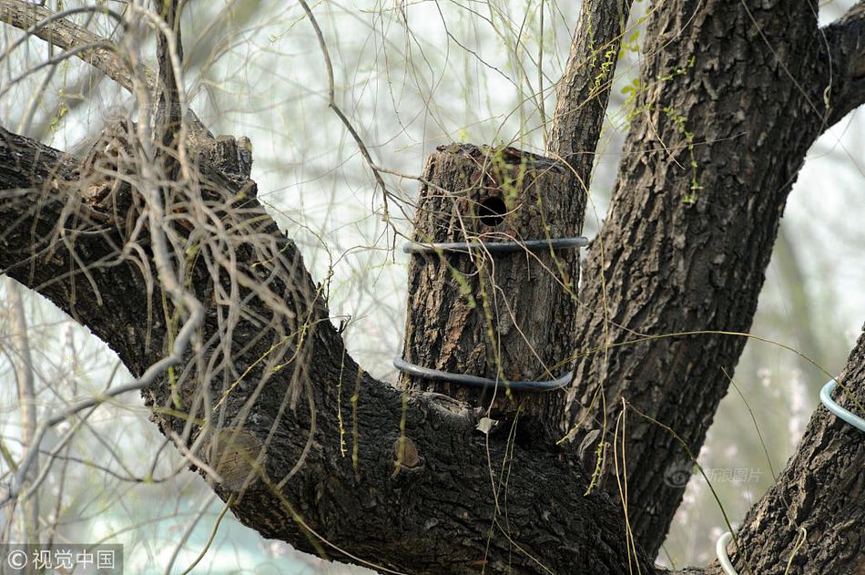 《高度契合》by洛知意出自哪里