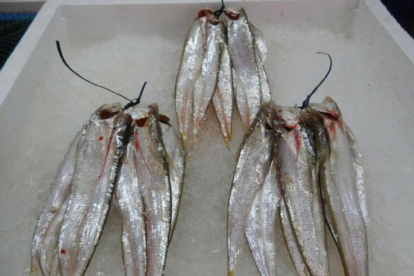 《招惹》by木兮娘