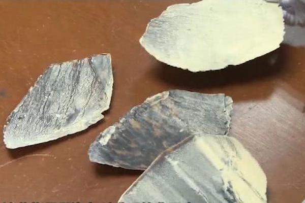 《雙向誘捕》by桃李不言海棠書屋