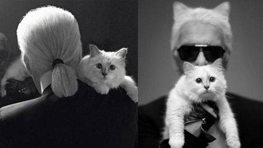 挨打續命by心軟