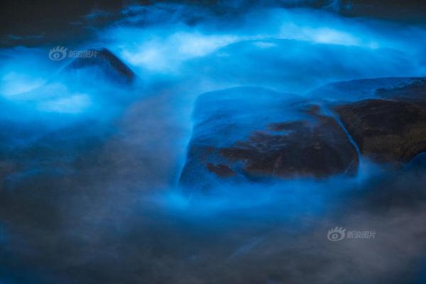 《胯下之臣》by阿司匹林講的什么