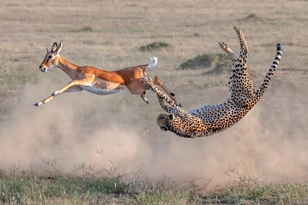 白月光1v1全文免費(fèi)閱讀