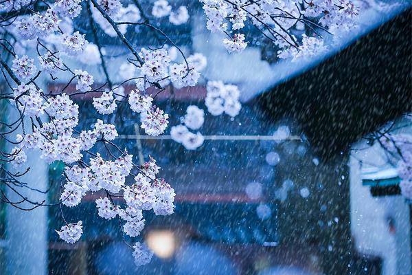 鳳逆天下TXT網盤