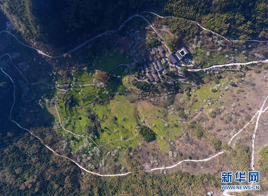 百年孤獨未刪減txt