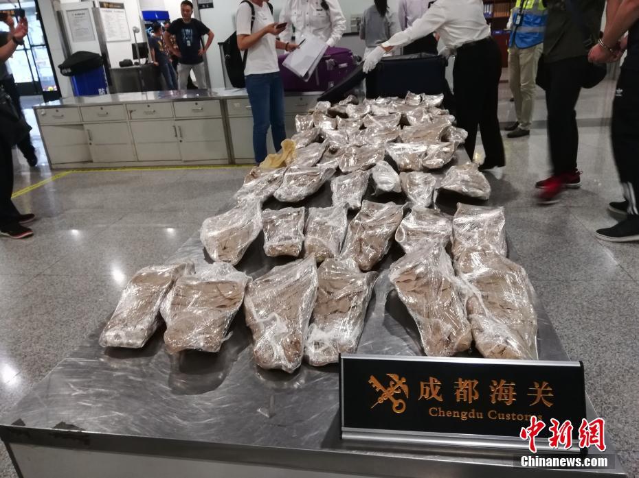 奔跑吧天路篇免費觀看全集