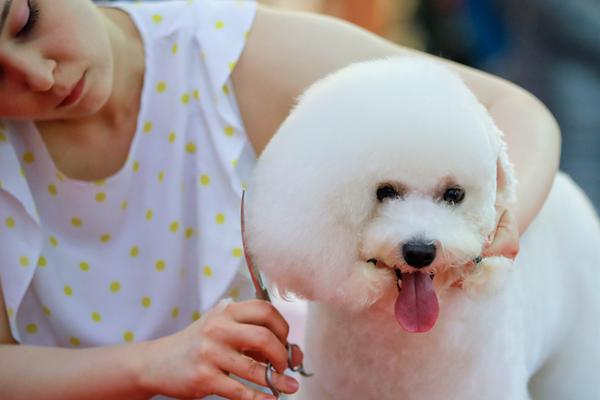 戰天txt精校版百度云