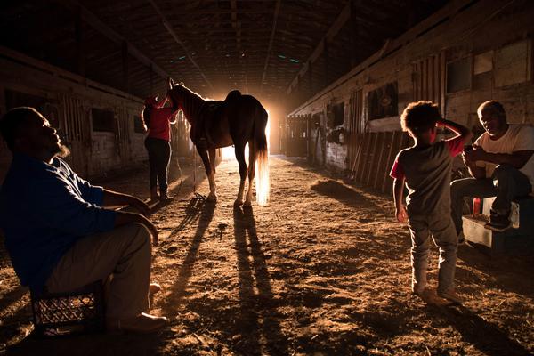 《知意》by葉聞知
