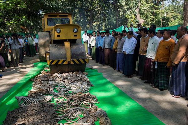 《冬日颶風》by喪魚全