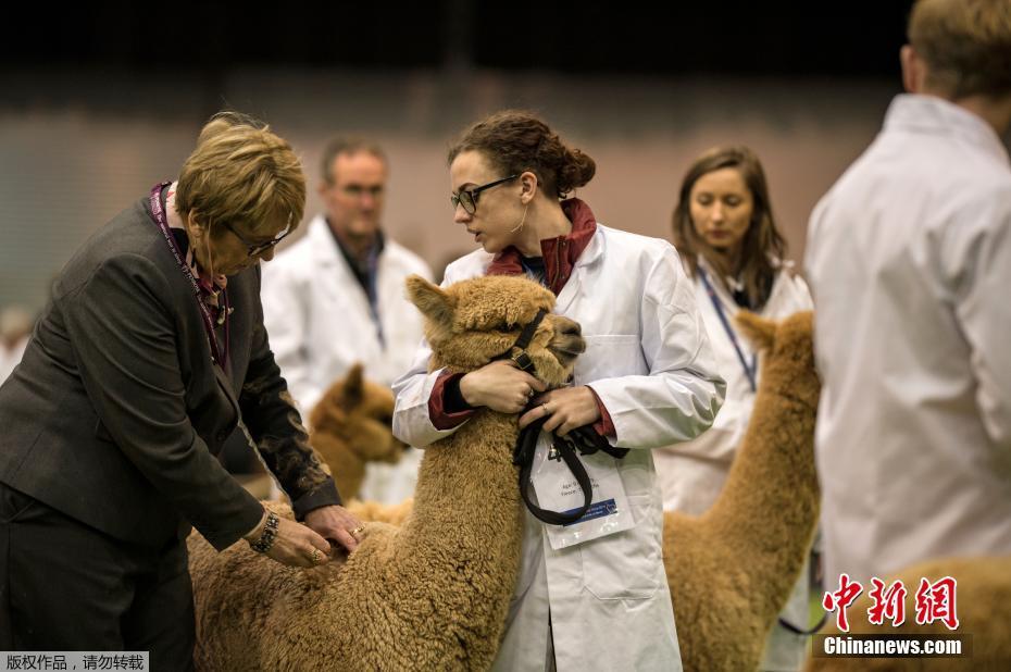 短篇合集txt500篇大雜燴(清淳)小說筆趣