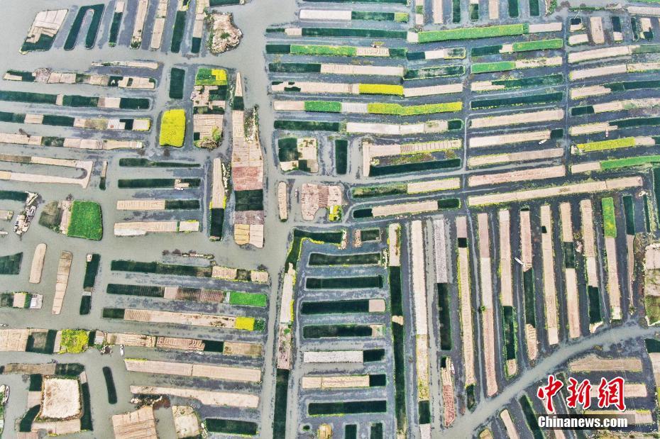 重生之小夫郎by焦尾參TXT