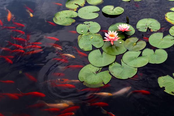 程序失控上冊by