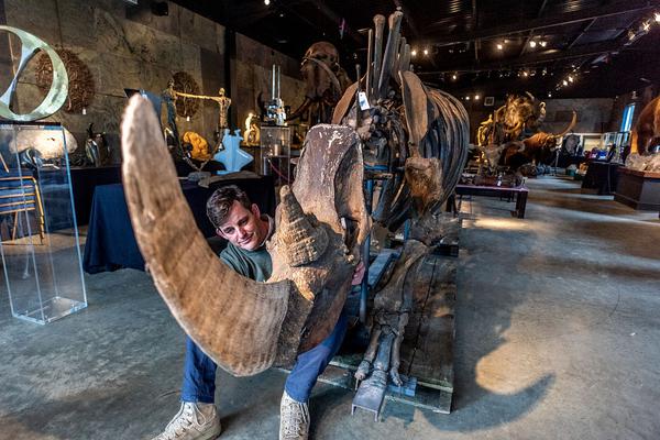 與瘋狂夜空的父女相似的小說