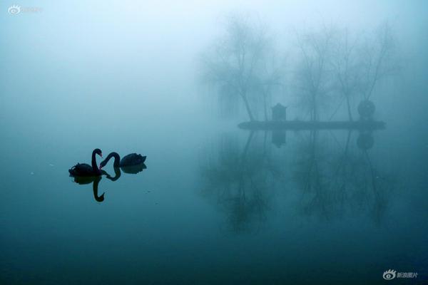 一受封疆by殿前歡好看嗎