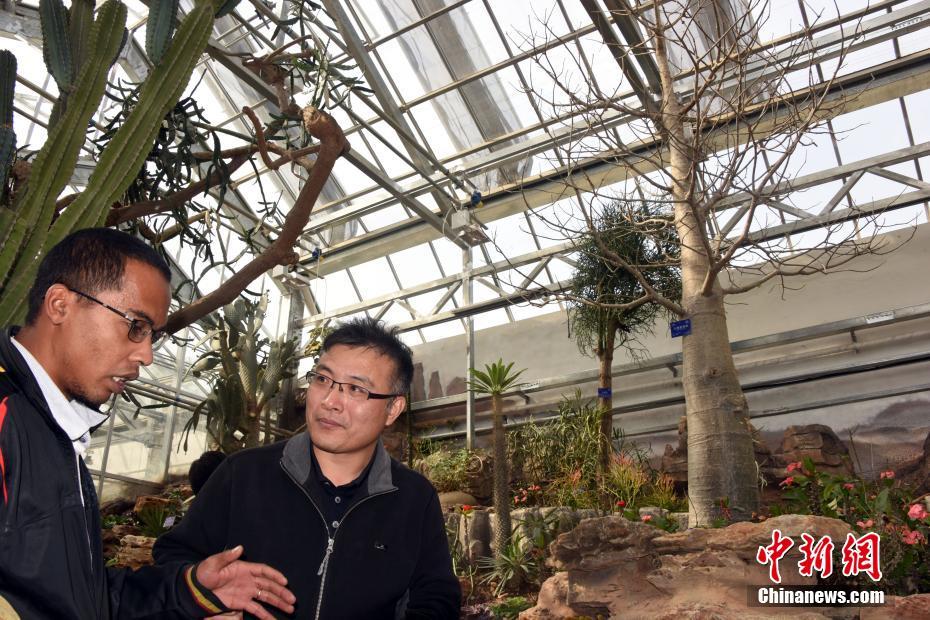 《下雨天車站避雨1-2集》動畫