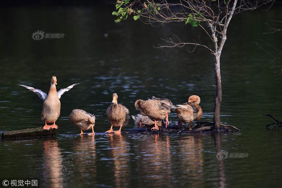 白月光快穿狐陽txt百度網(wǎng)盤