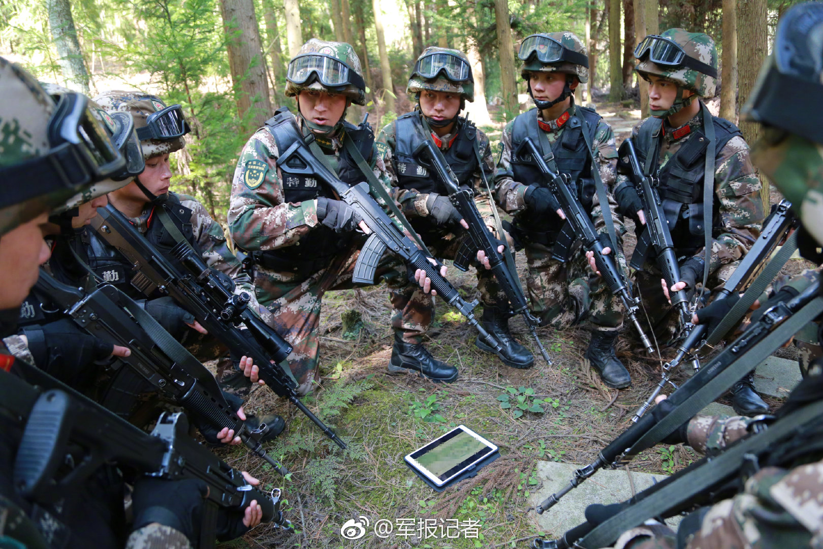 5個哥一個妹妹女主骨科小說