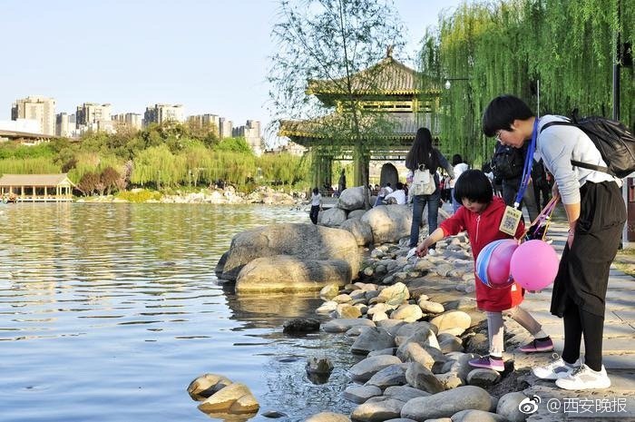 蝶舞大唐TXT下載精校版