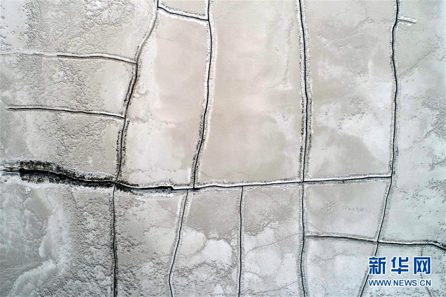 《百里香》by七弦