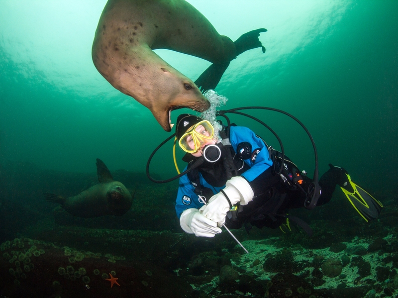 一晌貪歡by深不見底筆趣閣無彈窗