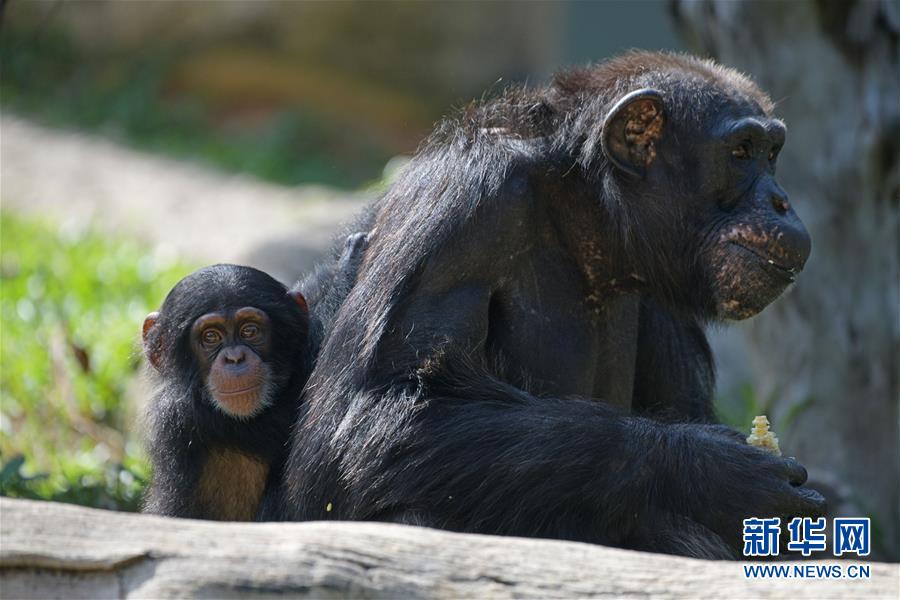 寶寶只想和你睡1v1全文閱讀