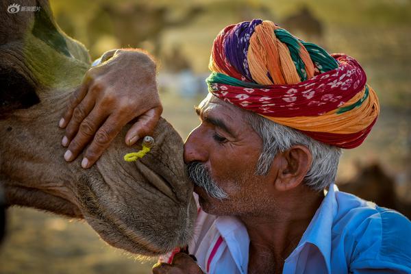 從小做到大青梅竹馬高干文筆趣閣