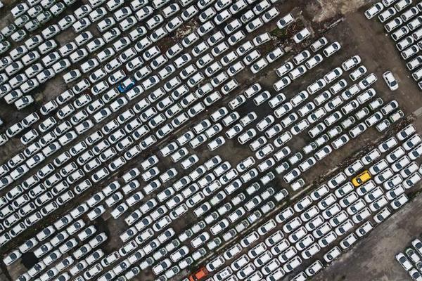 表演科今天也想與偵探同歸于盡TXT下載